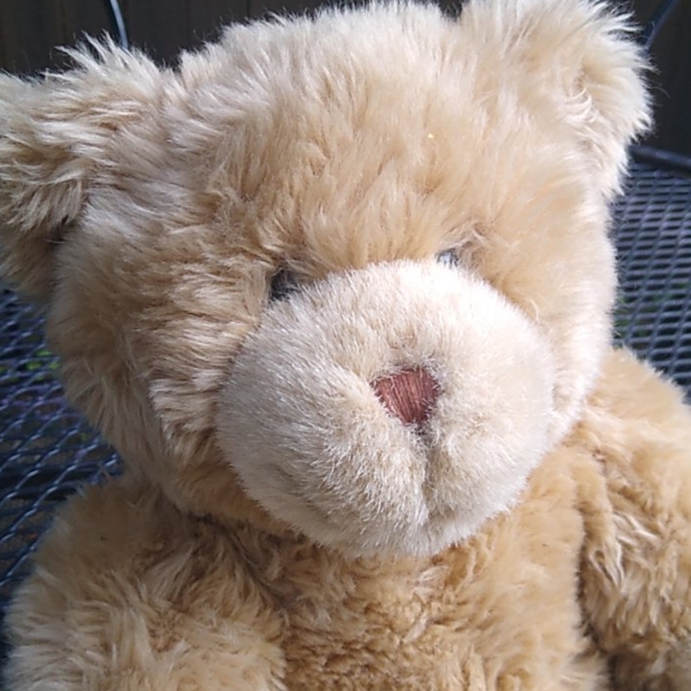 Teddy Bear